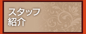 スタッフ紹介